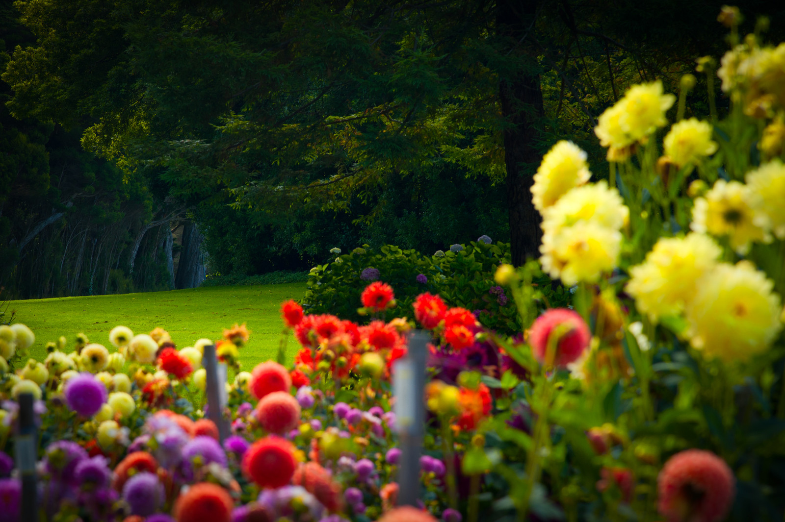 Steeds meer mensen willen een mooie tuin