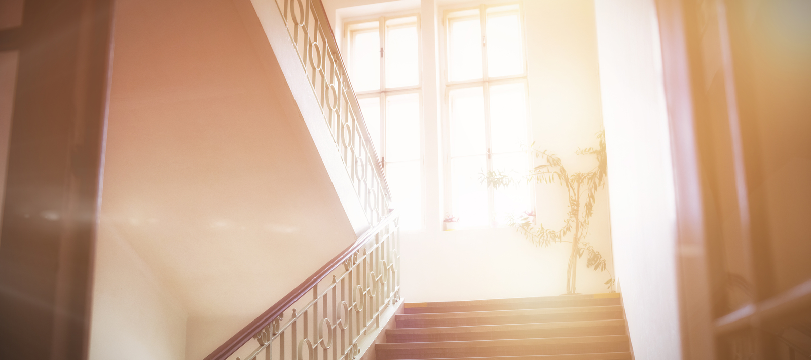 Vlizotrappen en varianten voor veilige toegang tot zolders